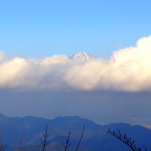 140103_floating_fuji