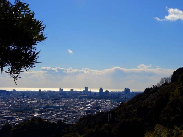 160124_shizuoka_skyline_600