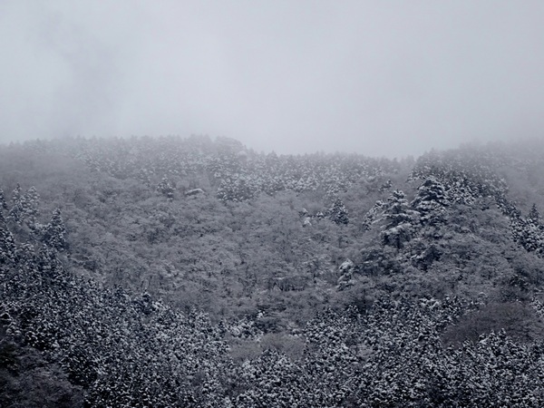 170402_grey_snow_mountain_600